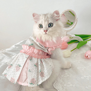 猫咪衣服夏季裙子可爱宠物猫猫布偶夏天防掉毛小猫幼猫薄款公主裙