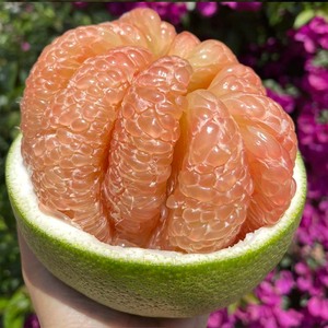 泰国金柚红柚新鲜孕妇低糖水果翡翠红心柚青皮红肉小柚子西施蜜柚