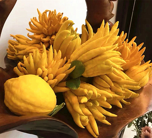 佛手瓜新鲜包邮