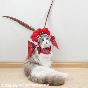 京剧猫穿上戏服头像图片