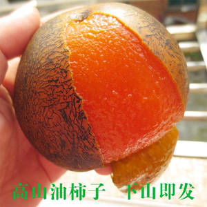 高山野生油柿子大果 脏脏柿子甜软柿子个大皮薄甜蜜果冻非脆柿