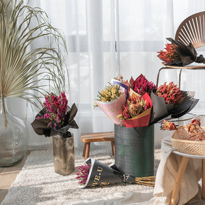 彩色多头凤尾花ins天然干花束真花卧室插花家居装饰拍摄道具清新