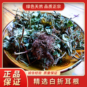 贵州野生白折耳根干货1斤包邮 草药三白草科白侧耳根裸蒴非鱼腥草