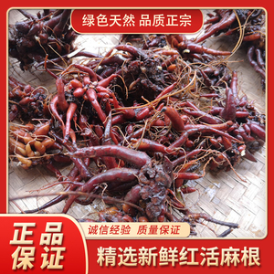 贵州农产品新鲜红活麻根 中药材纯根小红麻红禾麻红火麻草药500克