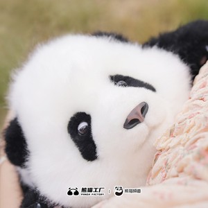 熊猫工厂3月龄叶叶宝宝仿真熊猫玩偶情人节礼物可爱儿童毛绒公仔