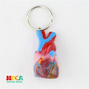 人体心脏锁匙扣饰品礼品挂件钥匙扣人体器官解剖医学教学YSK021