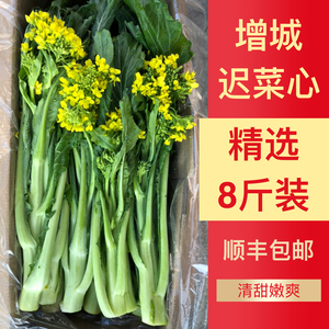 精选正宗增城迟菜心小楼镇高脚菜心新鲜嫩甜8斤广东顺丰包邮