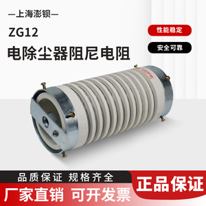 ZG12 ZG4 静电除尘器高压阻尼电阻 500W1000W1500W2000W2800瓦3KW