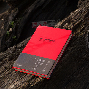 【正版现货】 丁磊亲笔作序 听什么歌都像在唱自己 网易云评论书音乐