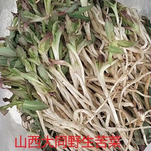 山西苦菜