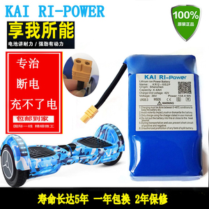 kai-ri凯日平衡车锂电池42v两轮电动平衡车锂电池扭扭车电瓶16850