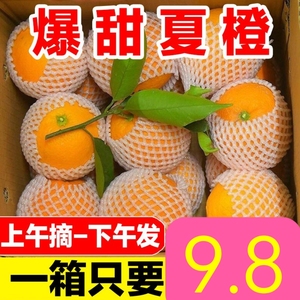 广西夏橙当季桂林鲜脐橙新鲜10斤时令孕妇水果现摘橙子非秭归伦晚