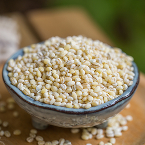 兰诗家进口特种荷兰小薏米非贵州小薏仁米仁五谷杂粮特价400g/袋