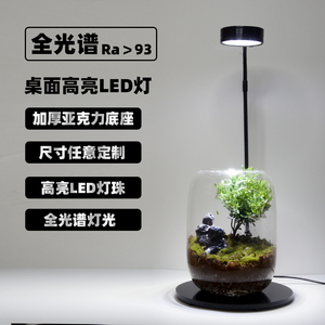 全光谱LED植物生长灯微景观灯亚克力鱼缸灯苔藓灯多肉植物补光灯