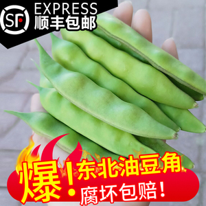 当季东北油豆角现摘新鲜蔬菜5斤一点红无筋宽豆九月青黑龙江油豆