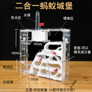 蚂蚁城堡工坊屋生态箱繁殖版送蚁后亚克力蚂蚁屋学生观察养殖巢穴