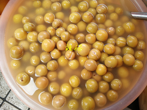 云南大理秘制腌青李子 酸甜美味 脆李 零食果脯