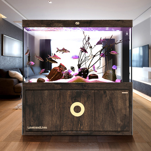 可丽爱iwish爱唯希鱼缸中型玻璃底滤白色家用客厅免换水水族箱