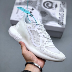 阿尔法小椰子鞋二代