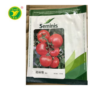 迪丽雅番茄种子蔬菜种子(1000粒装)广东科农引进良种圣尼斯品牌