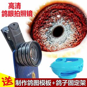 鸽子眼底镜