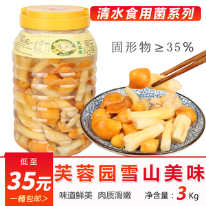 包邮新款滑子菇罐头桶装火锅煲汤清水蘑菇 雪山美味大脚菇 球盖菇