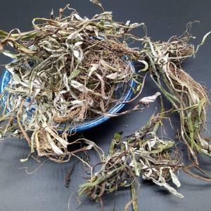 贵州省天青地白草250克包邮中草药细叶鼠曲草上青下白小火草