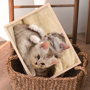 木质拼图1000片猫喵星人可爱成年解压玩具5送人生日快乐300治愈系