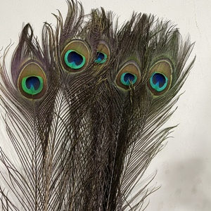 真孔雀羽毛孔雀翎羽大眼睛diy家居摆设婚庆客厅装饰花瓶两扎包邮