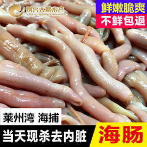 莱州海肠新鲜海肠新鲜海鲜水产海肠皮沙虫新鲜海肠子500g
