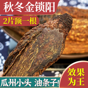 瓜州秋冬野生小头金锁阳切片中药材特级肉苁蓉淫羊藿泡酒料泡水喝