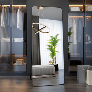 衣帽间穿衣镜子全身落地家用壁挂贴墙男士专用网红等身装饰立体镜