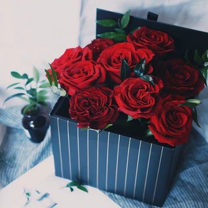 【卓昂玫瑰园精选】探索者 探险家 厄瓜多尔新品红色大花玫瑰苗