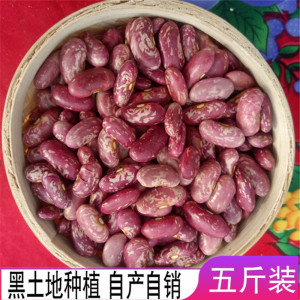 芸豆 东北农家花芸豆 红花芸豆饭豆腰豆紫花豆 东北特产2500g