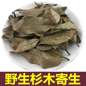 杉木寄生500克野生中药材 杉树寄生 杉寄生 杉木寄生 鞘花杉寄生