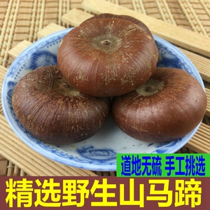 山马蹄500克 马蹄果马蹄石 天竺粒菩提子马牯包邮