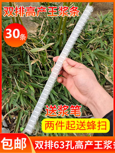 双排王浆条63孔塑料高产蜜蜂取浆条意蜂专用两排蜡碗王台养蜂工具