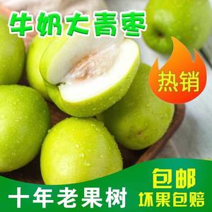 福建产地台湾牛奶青枣贵妃枣新鲜水果5斤枣子孕妇水果冬青枣