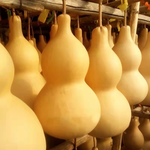 天然大葫芦带龙头摆件特大天然巨型大号招财风水摆件葫芦文玩挂件