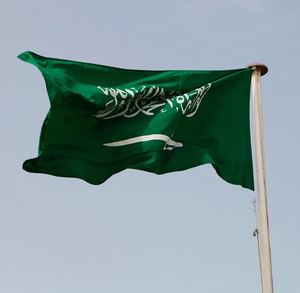 沙特阿拉伯国旗图案图片