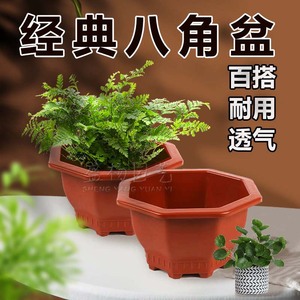 经典八角盆加厚八角塑料花盆红色盆景三角梅包邮阳台花盆