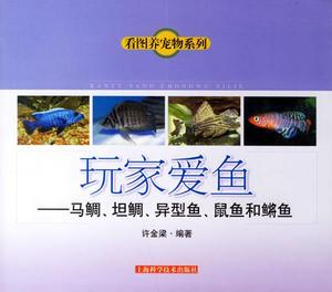 异型鱼品种大全书籍图片
