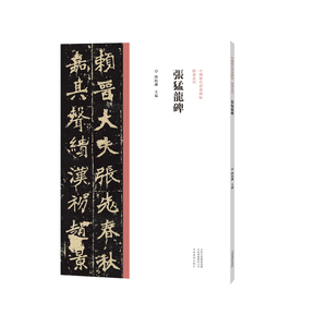 张猛龙碑 陈振濂 楷书毛笔书法字帖原碑原帖繁体旁注 历代*家作品楷书