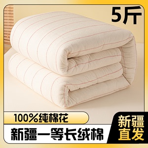 5斤新疆长绒棉花被子 保暖手工棉被棉胎被芯 春秋冬被床垫被包邮