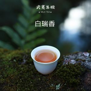 [在隐] 白瑞香 武夷岩茶 大红袍 武夷名枞特色小品种