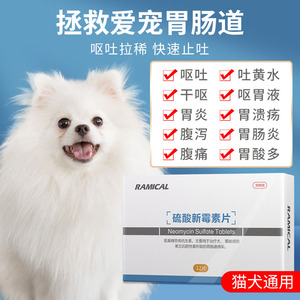宠物胃药