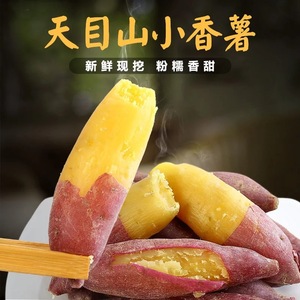 天目山迷你小香薯新鲜临安小红薯5斤拇指红薯板栗薯金手指小地瓜