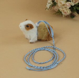 蜜袋鼯豚鼠荷兰猪龙猫遛弯绳刺猬兔子仓鼠金丝熊遛鼠绳魔王