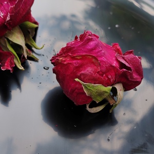【茶小隐】每年很快售罄的冻干墨红玫瑰 四月下旬头采 优雅温柔