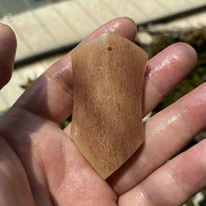 天然骆驼骨血料满蝌蚪纹手工雕刻未脱脂驼骨手把件三界牌吊坠文玩